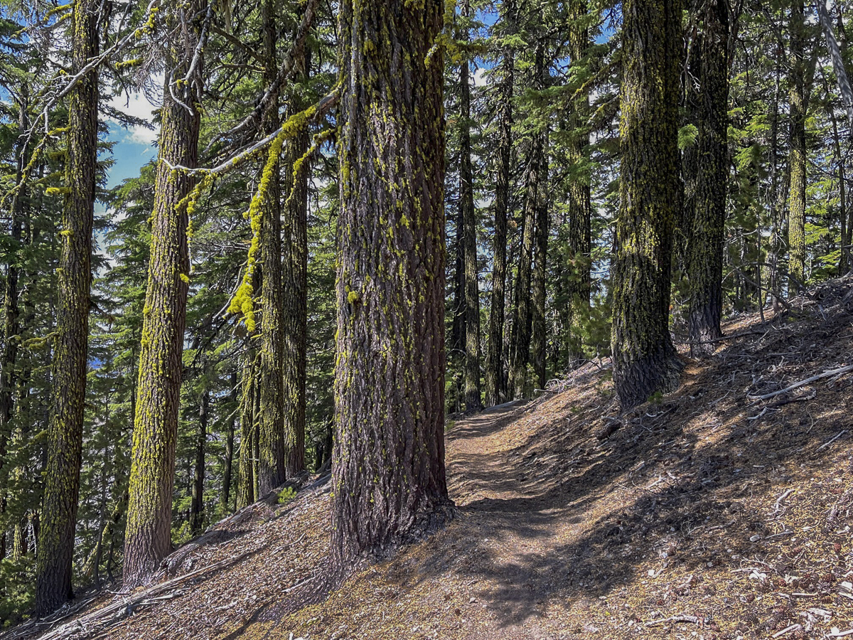 Crater Rim Trail